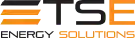 Logo TSE