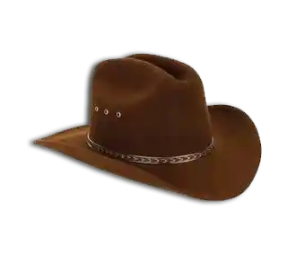 Élément décoratif Le Secret de Calamity Jane